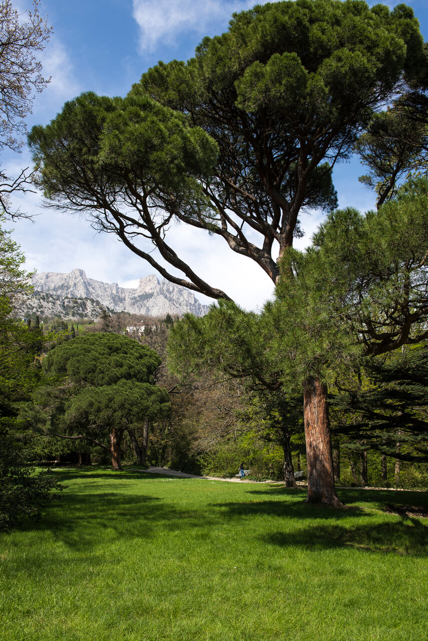 Гостиница Сон у моря Алупка-26