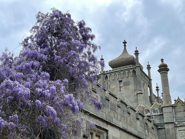 Гостиница Сон у моря Алупка-16